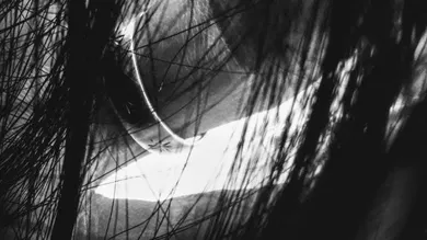 Despre timp și soartă