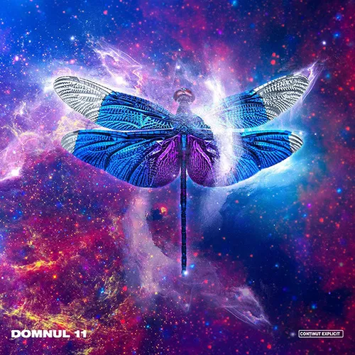 Domnul 11
