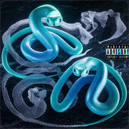 ÎNCĂ ÎN VIAȚĂ: albumul