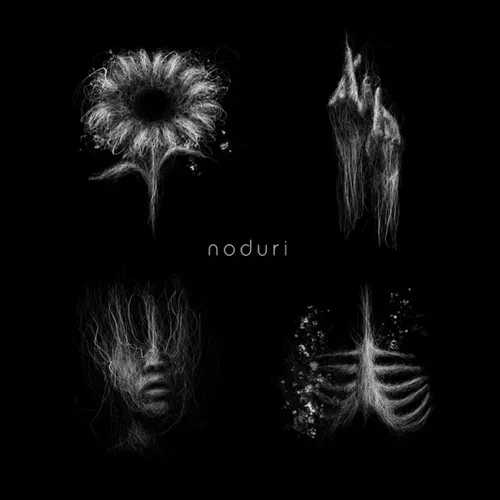 NODURI EP