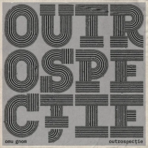 Outrospecție