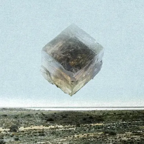 Salt of the Earth