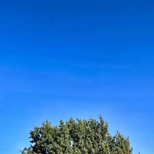 The Worst Weather Since January