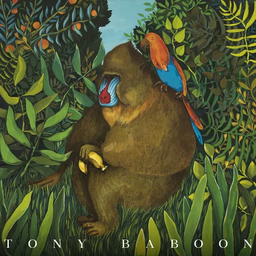Tony Baboon