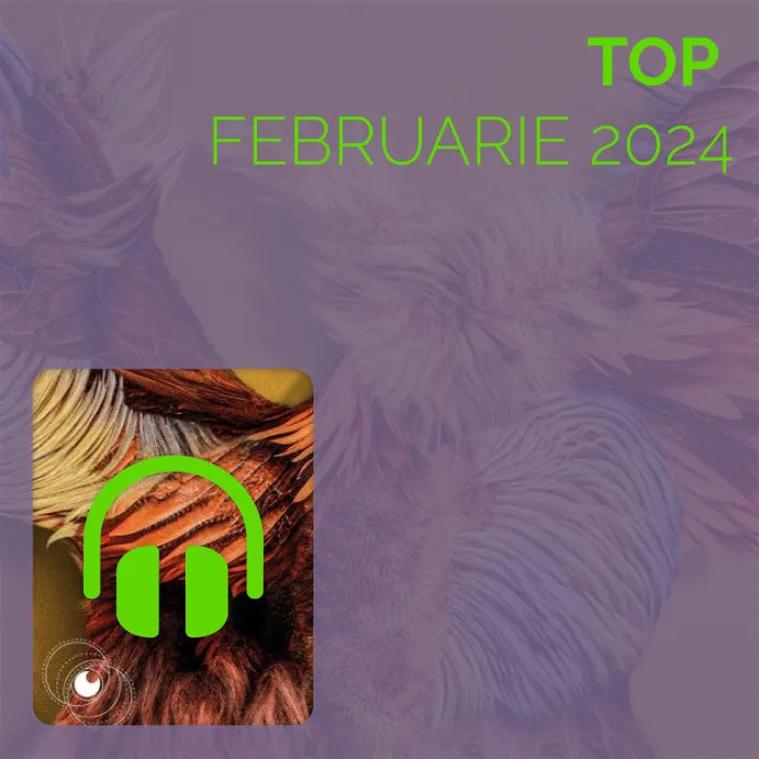 Top Februarie 2024