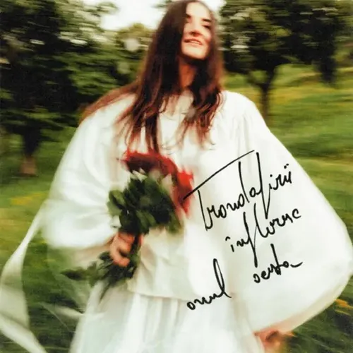 Trandafirii Înfloresc Anul Acesta - EP